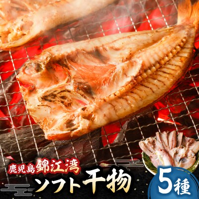 鹿児島錦江湾のソフト干物5種セット　K295-001