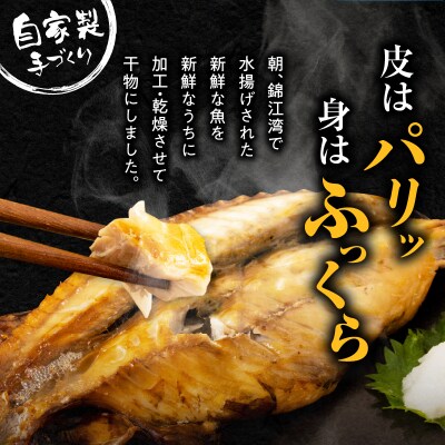 鹿児島錦江湾のソフト干物5種セット　K295-001