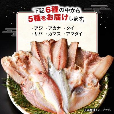 鹿児島錦江湾のソフト干物5種セット　K295-001