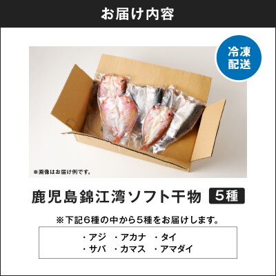 鹿児島錦江湾のソフト干物5種セット　K295-001