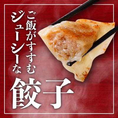 【14営業日以内に発送】 鹿児島黒豚博多一口餃子 150個　K025-009_02