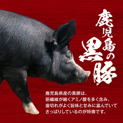 【14営業日以内に発送】 鹿児島黒豚博多一口餃子 150個　K025-009_02
