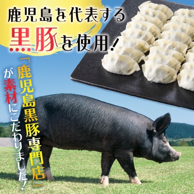 【 期間限定 生活応援 】【14営業日以内に発送】 鹿児島黒豚博多一口シソ餃子 75個