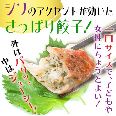 【14営業日以内に発送】 鹿児島黒豚博多一口シソ餃子 150個　K025-010_02