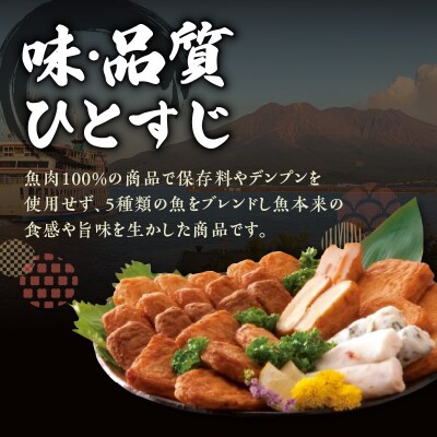 味・品質ひとすじ まるいわさつま揚げ6種(49個入)　K326-001_03