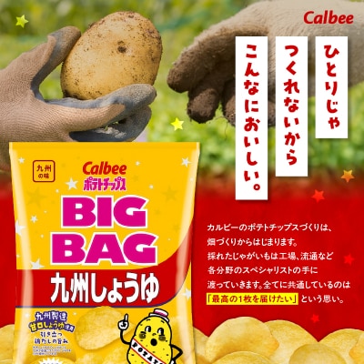 ポテトチップス BIGBAG【九州しょうゆ】 12袋　K194-002_02