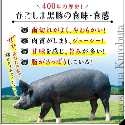 【14営業日以内に発送】 鹿児島黒豚しゃぶしゃぶセット600g　K025-007_01