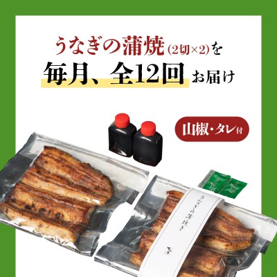 【12回定期便】うなぎ料理専門店「松重」並/うなぎ蒲焼2切(1尾)×2パック　K019-T23