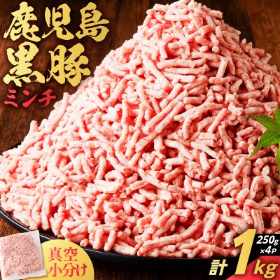 鹿児島県産 黒豚ミンチ 1kg　K025-013_02