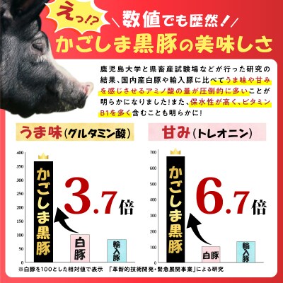 鹿児島県産 黒豚ミンチ 1kg　K025-013_02