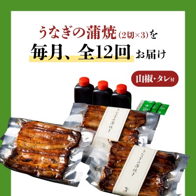 【12ヶ月定期便】うなぎ料理専門店 上/うなぎ蒲焼2切(1尾)×3パック　K019-T35