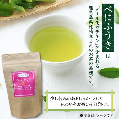 べにふうき緑茶抹茶入(ティーバッグタイプ)20個×5袋　K111-043_03