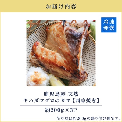 鹿児島産 天然 キハダマグロのカマ約200g×3P 調理済 (西京焼き)　K100-012_02