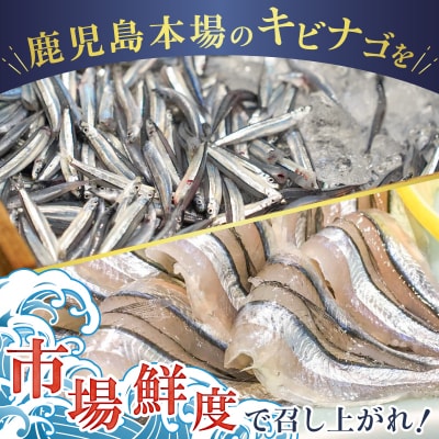 鹿児島産 キビナゴ刺身 40尾 4人前　K100-010