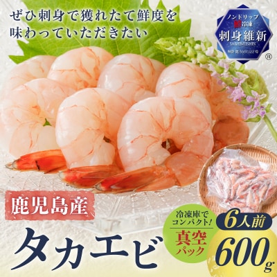 【 生活応援 マグロ中落丼1P 付き 】 期間限定 鹿児島産 タカエビ600g 6人前