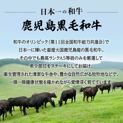  A5等級鹿児島県産黒毛和牛リブロース 1ポンドステーキ　K002-041_01