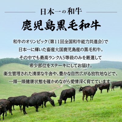 A5等級鹿児島県産黒毛和牛リブロース 1ポンドステーキ 2枚セット　K002-041_02