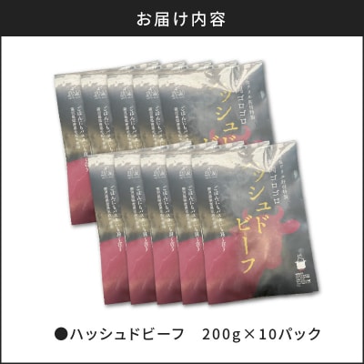 【7営業日以内に発送】【洋食グリル肝付】ハッシュドビーフ 10パック　K084-008_03