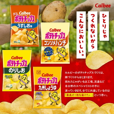 【 期間限定 生活応援 】【4ヶ月定期便】カルビー ポテトチップス 食べ比べ4種　K194-T01