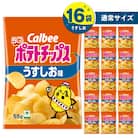 【 期間限定 生活応援 】カルビー ポテトチップス【うすしお】16袋　K194-002_03
