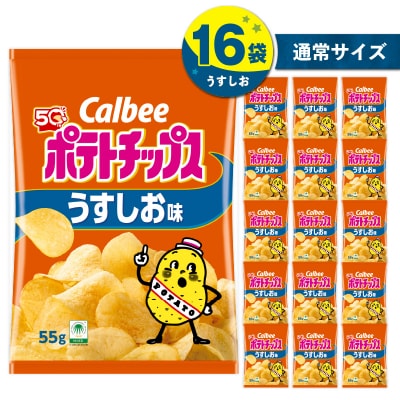 【 期間限定 生活応援 】カルビー ポテトチップス【うすしお】16袋　K194-002_03