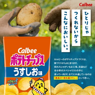 カルビー ポテトチップス【うすしお】12袋　K194-002_03