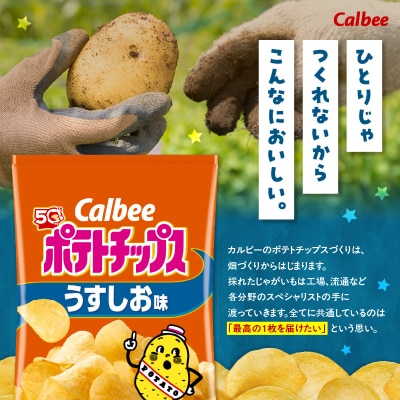 【 期間限定 生活応援 】カルビー ポテトチップス【うすしお】16袋　K194-002_03