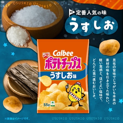 【 期間限定 生活応援 】カルビー ポテトチップス【うすしお】16袋　K194-002_03