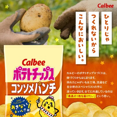 カルビー ポテトチップス【コンソメパンチ】12袋　K194-002_05