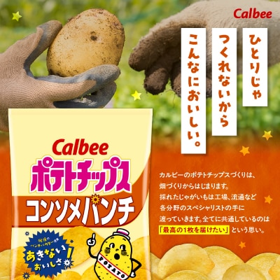 【 期間限定 生活応援 】カルビー ポテトチップス【コンソメパンチ】16袋　K194-002_05