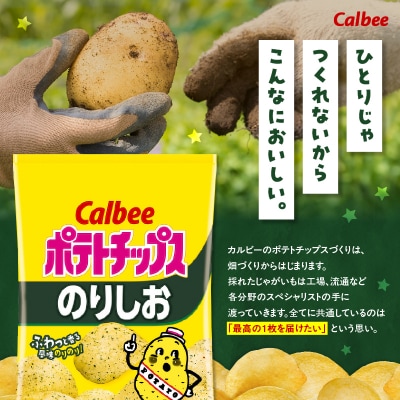 カルビー ポテトチップス【のりしお】16袋　K194-002_07