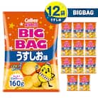ポテトチップス BIGBAG【うすしお】12袋　K194-002_04