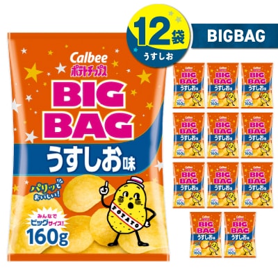 ポテトチップス BIGBAG【うすしお】12袋　K194-002_04