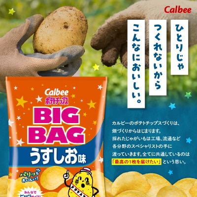 【 期間限定 生活応援 】ポテトチップス BIGBAG【うすしお】12袋　K194-002_04