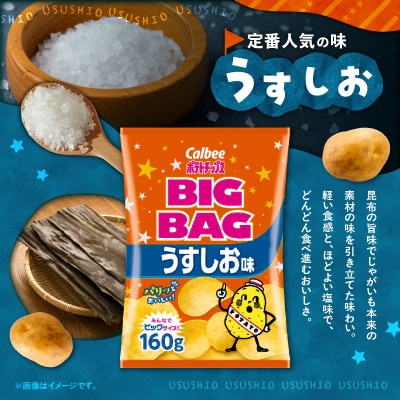 ポテトチップス BIGBAG【うすしお】12袋　K194-002_04