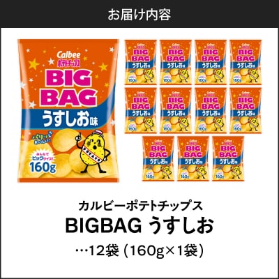 ポテトチップス BIGBAG【うすしお】12袋　K194-002_04
