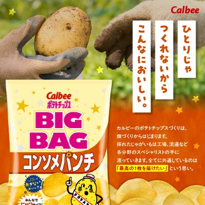 【 期間限定 生活応援 】ポテトチップス BIGBAG【コンソメパンチ】12袋