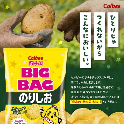 【 期間限定 生活応援 】ポテトチップス BIGBAG【のりしお】12袋　K194-002_08