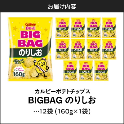 ポテトチップス BIGBAG【のりしお】12袋　K194-002_08