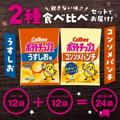 2種食べ比べ【うすしお×コンソメパンチ】計24袋　K194-002_09