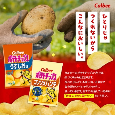 2種食べ比べ【うすしお×コンソメパンチ】計24袋　K194-002_09