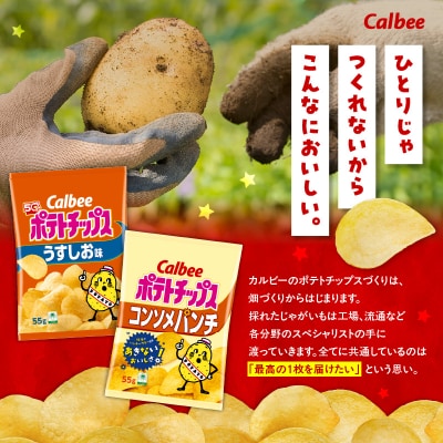 2種食べ比べ【うすしお×コンソメパンチ】計32袋　K194-002_09