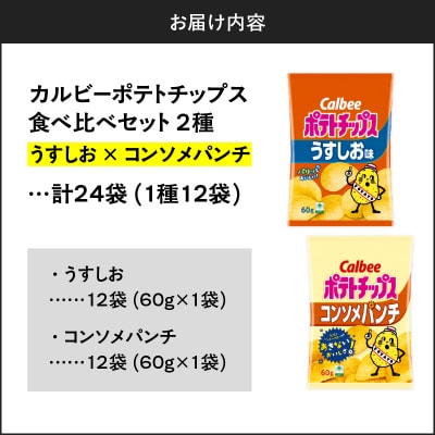 2種食べ比べ【うすしお×コンソメパンチ】計24袋　K194-002_09