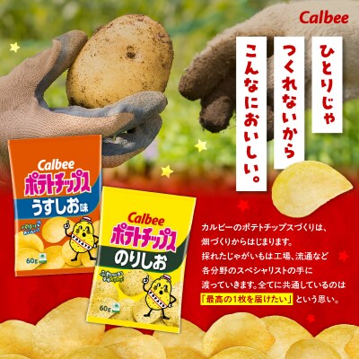 2種食べ比べセット【うすしお×のりしお】計24袋　K194-002_10