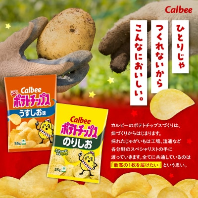 2種食べ比べセット【うすしお×のりしお】計32袋　K194-002_10