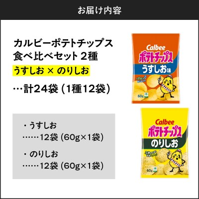 2種食べ比べセット【うすしお×のりしお】計24袋　K194-002_10