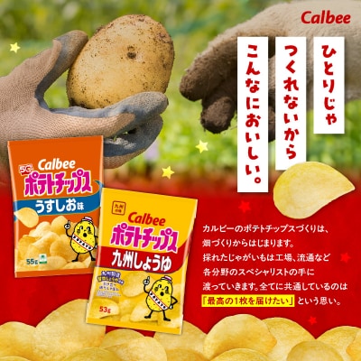 2種食べ比べセット【うすしお×九州しょうゆ】計28袋　K194-002_11