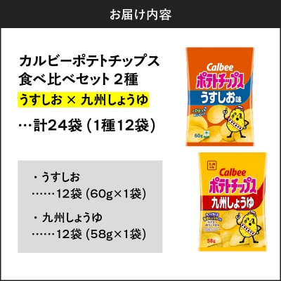 2種食べ比べセット【うすしお×九州しょうゆ】計24袋　K194-002_11