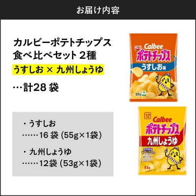 2種食べ比べセット【うすしお×九州しょうゆ】計28袋　K194-002_11