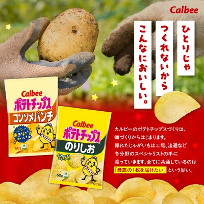 2種食べ比べセット【コンソメパンチ×のりしお】計24袋　K194-002_12